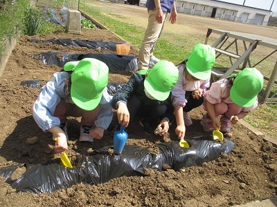 IMG_0345 IMG_0345