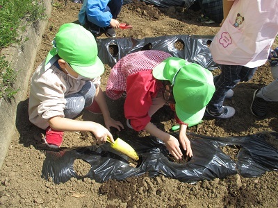 IMG_0356 IMG_0356