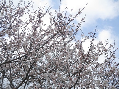 IMG_0318 IMG_0318
