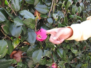 IMG_0586 IMG_0586
