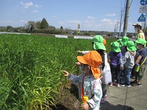IMG_0615 IMG_0615