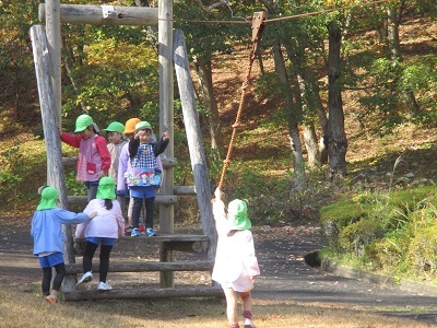 IMG_0418 IMG_0418
