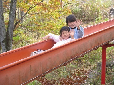 IMG_0529 IMG_0529