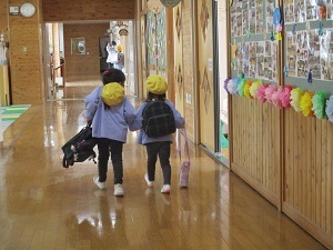 IMG_3882 IMG_3882
