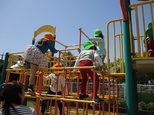 IMG_3996 IMG_3996