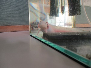 IMG_4032 IMG_4032