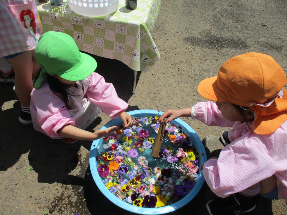 お花を浮かべたよ お花を浮かべたよ