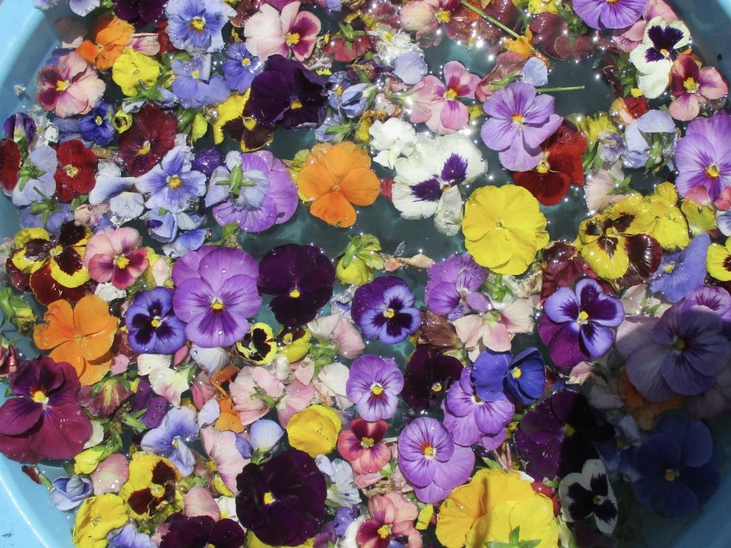 きれい🌼 きれい🌼