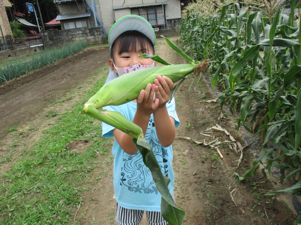 じゃじゃーん! じゃじゃーん!