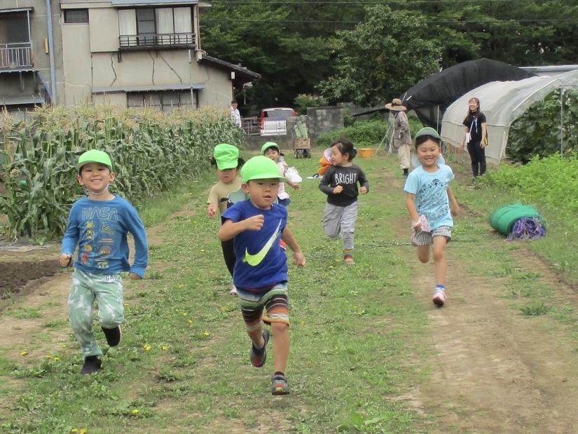 よーいドン! よーいドン!