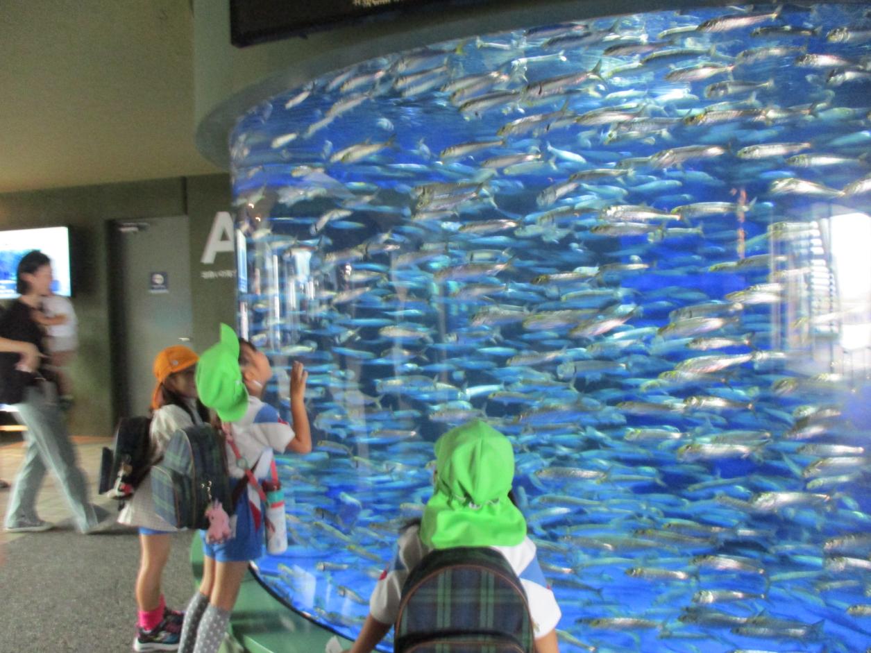 ぐるぐる🌀 ぐるぐる🌀