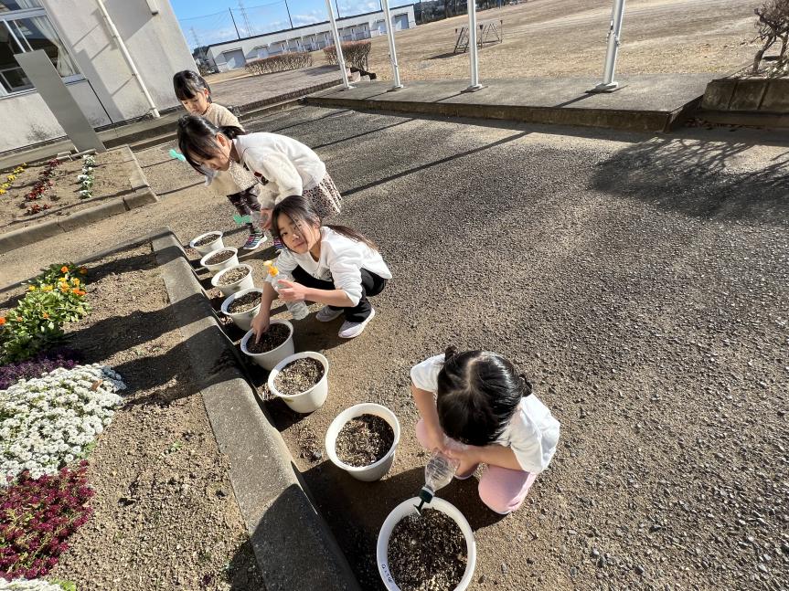 大きくなあれ! 大きくなあれ!