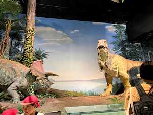 🦖🦕