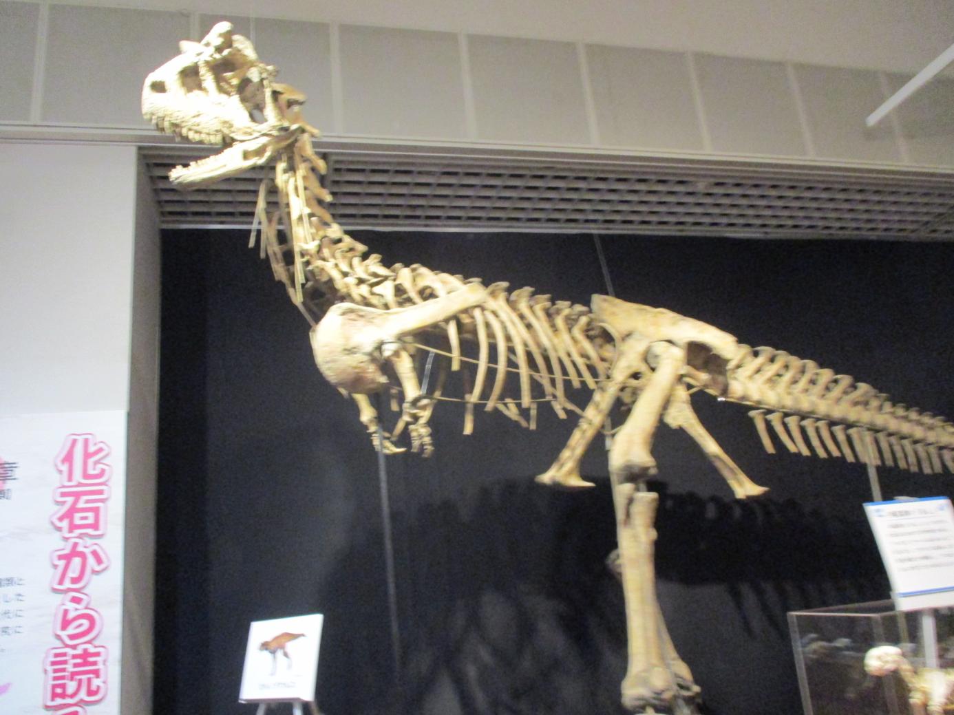 🦖