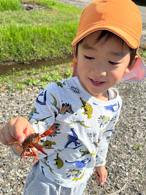ハサミ大きい！