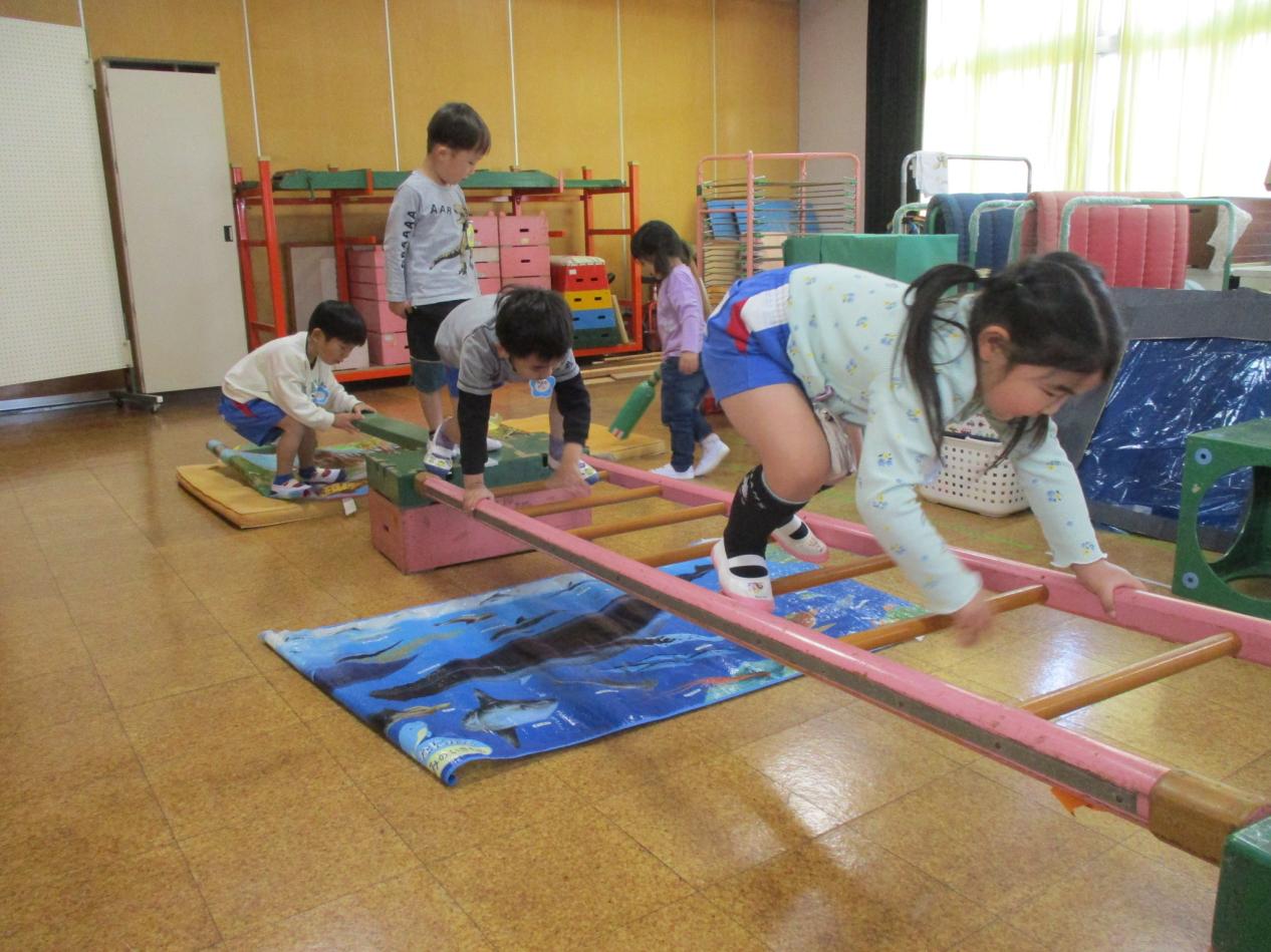 IMG_2749 IMG_2749