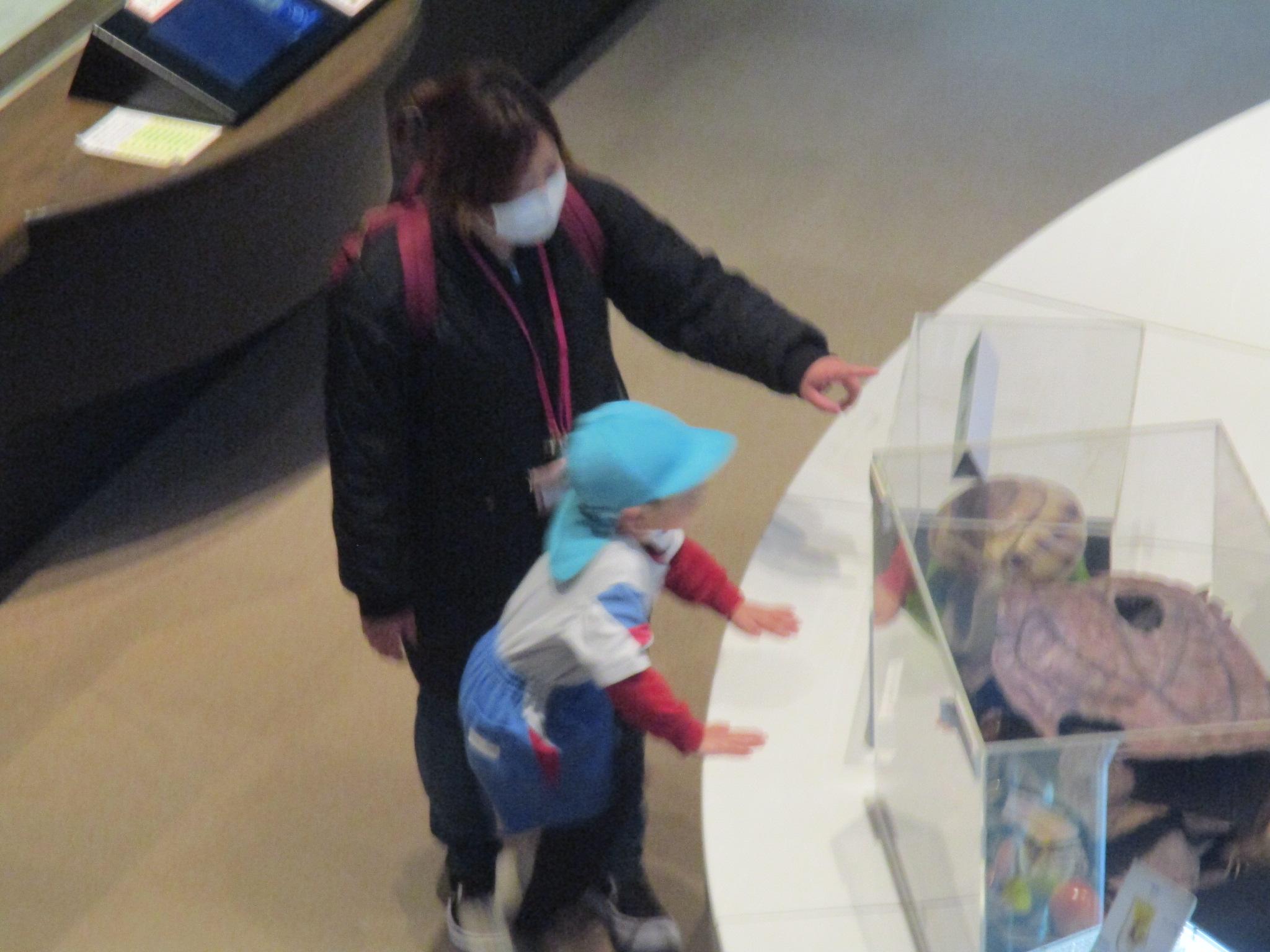 IMG_2953