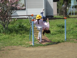 IMG_4105 IMG_4105