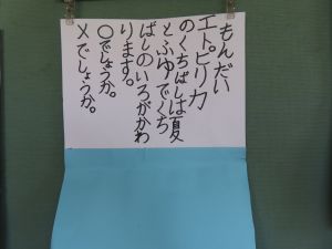 IMG_3672-1