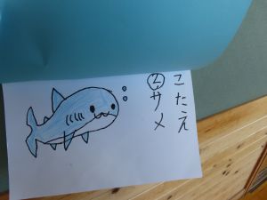IMG_3674-1