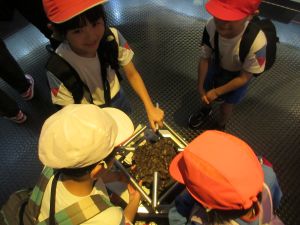 IMG_3390