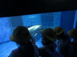 IMG_5691