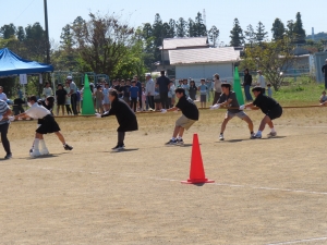 IMG_3954 IMG_3954