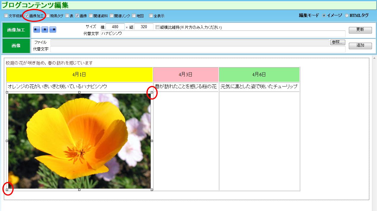 画像加工にチェックし，サイズを入力する　更新を選択する
