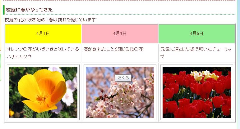  枠線幅を1のままにしたときの例