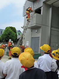 救助を終えたか確認も