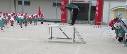 きれいな礼