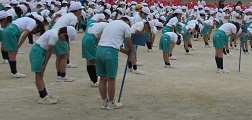 素晴らしいね