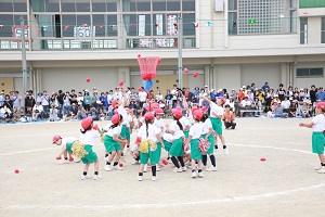 36
