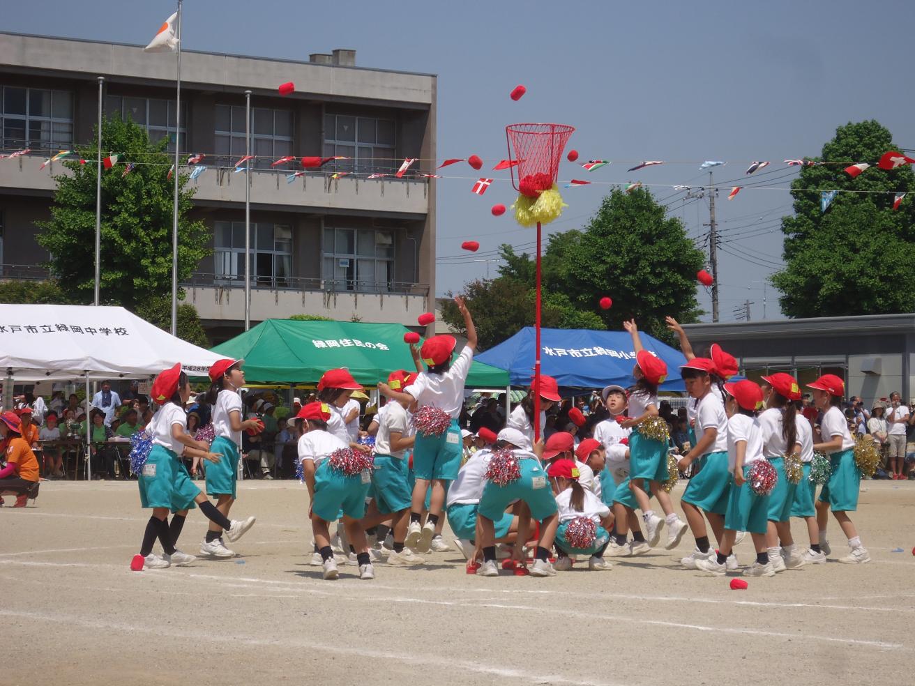 DSC00515