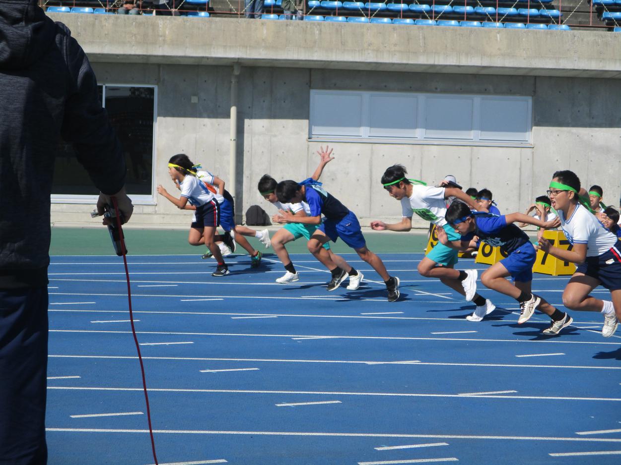 IMG_1824 IMG_1824