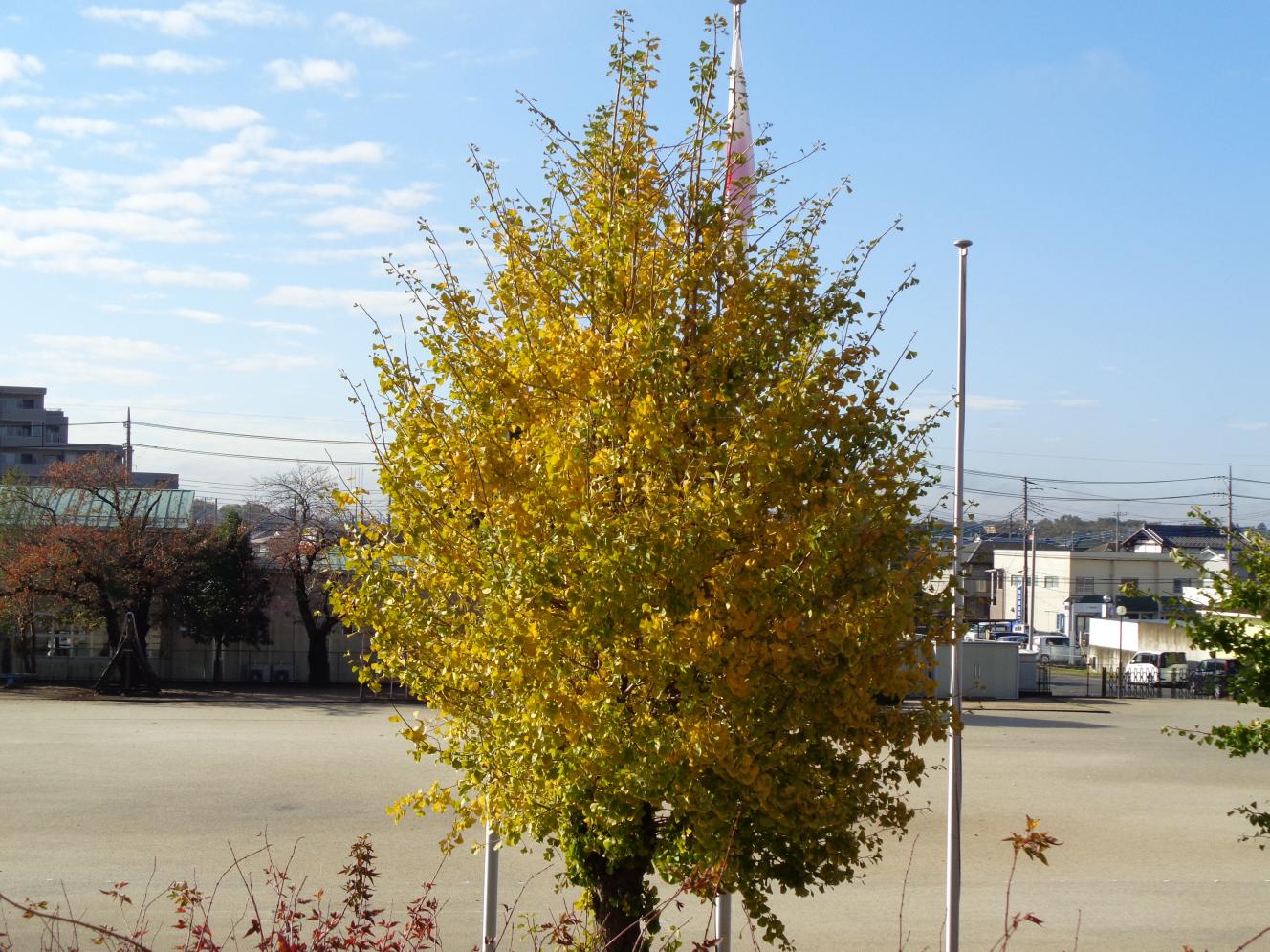 DSC00077