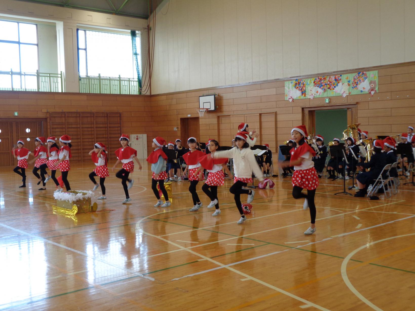 DSC00260 DSC00260
