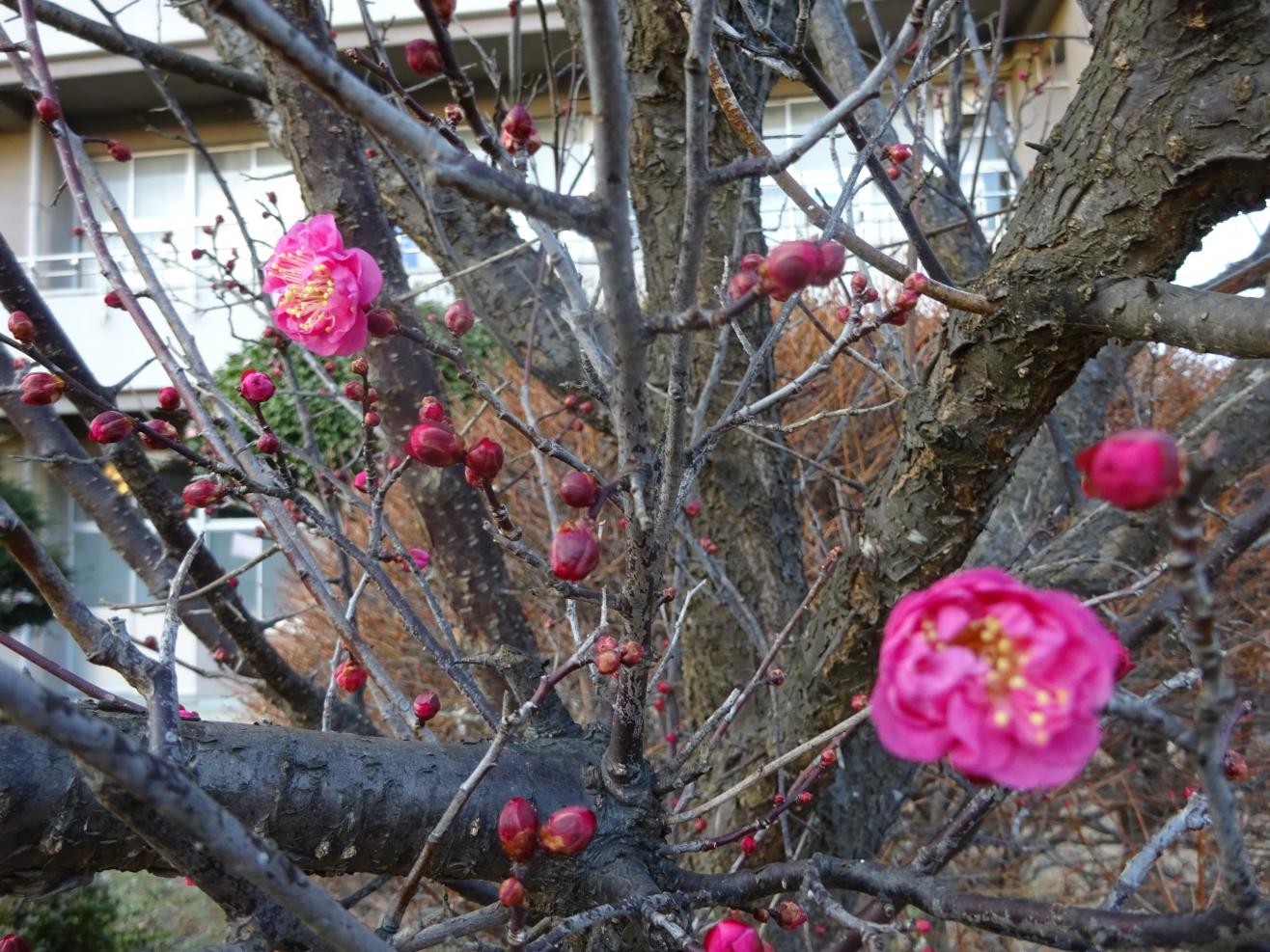 DSC00180
