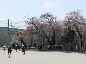 元気 (1)