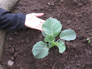 IMG_1880 IMG_1880