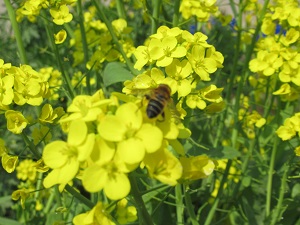 IMG_1895 IMG_1895