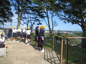 IMG_2251 IMG_2251