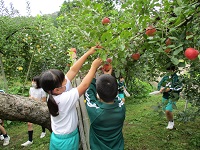 IMG_0212 IMG_0212