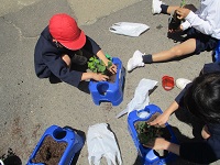IMG_0414