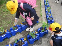 IMG_0421 IMG_0421