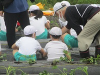 IMG_0460 IMG_0460
