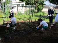 支柱を立てて植えました