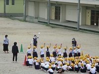 IMG_0761 IMG_0761