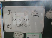 IMG_1286 IMG_1286