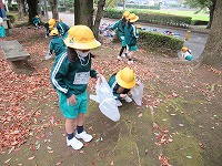 木の実や木の葉を探しました